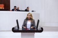 ORMAN BAKANLIĞI - MHP'li Esin Kara'dan Bakan Pakdemirli'ye Soru Önergesi