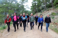 ŞAHIT - Öğretmenler Doğa Yürüyüşünde Stres Attı