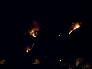 Rize'de 4 Ayrı Noktada Örtü Yangını