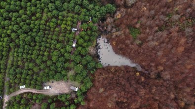 Şile'de Ormandaki Lastikleri Kaldırma Çalışmaları Havadan Görüntülendi