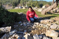 KAÇAK KAZI - Tarihi Mezarlıkta Köstebek Yuvasını Andıran Görüntüler