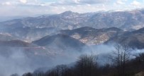 Trabzon'daki Örtü Yangınları Devam Ediyor