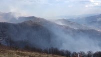 Trabzon'un Dernekpazarı İlçesindeki Örtü Yangınları Devam Ediyor