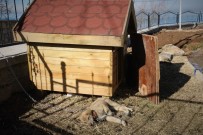 EDREMIT BELEDIYESI - Atık Malzemeden Sokak Hayvanlarına Sıcak Yuva