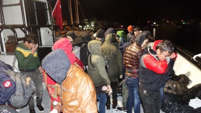 Çanakkale'de 82 Mülteci Yakalandı