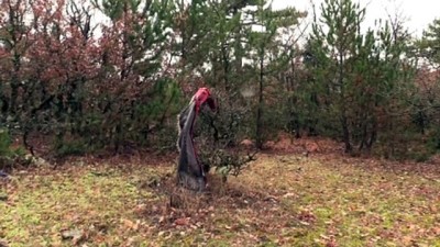 Çorum'da Kayıp Alzaymır Hastasını 50 Kişilik Ekip Arıyor