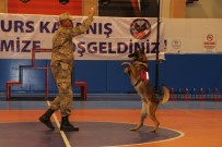 KAPANIŞ TÖRENİ - JAKEM'de Eğitimi Tamamlayan 62 Köpek 31 İlde Göreve Başlayacak