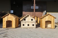 FATIH ATAY - Efeler Belediyesi Sokak Hayvanlarını Unutmadı