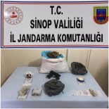 JANDARMA KOMUTANLIĞI - Gerze'de Uyuşturucu Operasyonu Açıklaması 2 Gözaltı