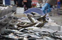 BALIK FİYATLARI - Olumsuz hava şartları balıkçıları vurdu