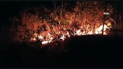 Trabzon'daki Örtü Yangınları Tamamen Söndürüldü