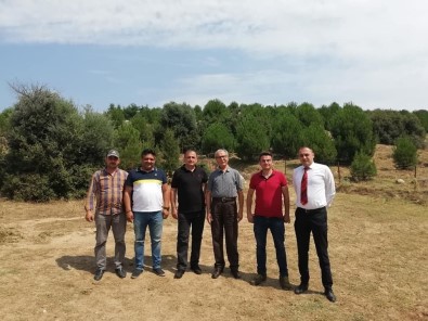 Aydın TEMA, Nazilli'de Faaliyetlerine Başladı