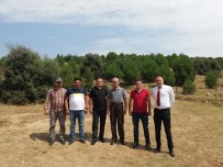 EKOLOJIK - Aydın TEMA, Nazilli'de Faaliyetlerine Başladı