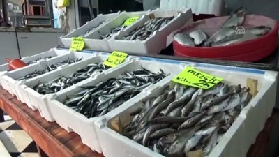 Batı Karadeniz'deki Balıkçılar Soğuk Havadan Umutlu