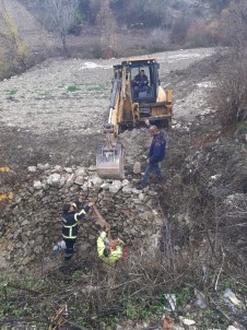 Hatay'da Kuyuya Düşen Eşeği İtfaiye Ekipleri Kurtardı