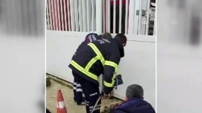 Hatay'da Otomatik Kapıya Sıkışan Köpek Yavrusu Kurtarıldı