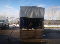 JANDARMA KOMUTANLIĞI - Kamyon Kasasında 63 Kaçak Göçmen Yakalandı