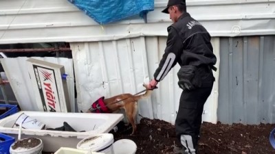 Muğla'da 4 Gün Önce Kaybolan Kişiyi Arama Çalışmalarına Devam Edildi