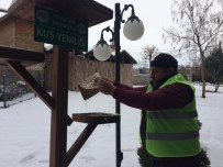 KÖPEK - Nevşehir Belediyesi Sokak Hayvanlarını Unutmadı