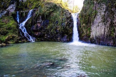 Ordu'nun Dereleri Boşa Akmayacak