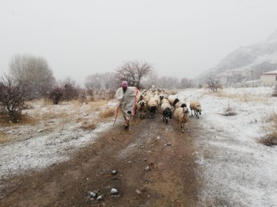 Sivas'ta Kar, Hayvancılıkla Uğraşanlara Zor Anlar Yaşatıyor