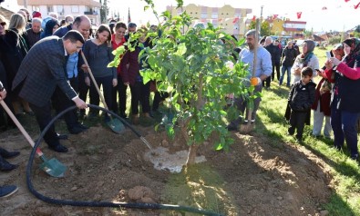 Kepez'de 5 Bin Metrekare Alan Çimlendirildi