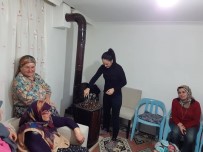 HACıHALILLER - Kestaneler AK Parti'li Kadınlardan