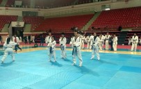 TEKVANDO - Konya'da Tekvando Siyah Kuşak Ve Dan Terfi Sınavları Yapıldı