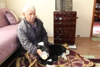 ERKEN DOĞUM - Buzağıyla Aynı Odada Yaşıyorlar