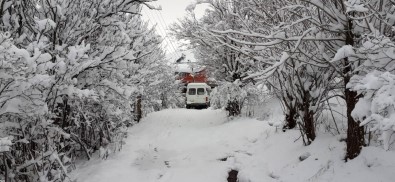 Erzincan'da Karın Ardından Kartpostallık Görüntüler Oluştu