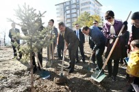 MAMAK BELEDIYESI - Mamak'ta Türkiye-Çin Dostluk Ormanı