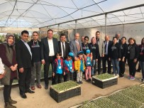 İLKÖĞRETİM OKULU - Tarsus'ta 'Haydi Gel Köyümüze Geri Dönelim' Projesi