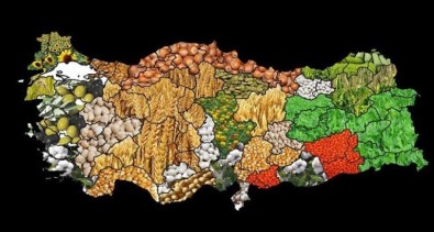 2020 Yılında Erzincan'da Desteklenecek Tarım Ürünleri Açıklandı