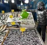 BALIK FİYATLARI - Balık Bu Sezon Yüz Güldürmedi