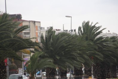 İstanbul'da Şiddetli Rüzgar Etkili Oluyor