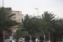 ŞİDDETLİ RÜZGAR - İstanbul'da Şiddetli Rüzgar Etkili Oluyor