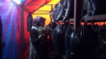ORMAN BAKANLIĞI - Kadın Çiftçi, Aldığı Hibeyle Bahçesine Kurduğu Serada İstiridye Mantarı Üretiyor