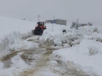 SOĞUKPıNAR - Kahramanmaraş'ta Karla Mücadele