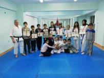 BALCı - Karatecilerden Madalya Yağmuru