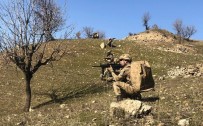 YARDIM VE YATAKLIK - PKK'ya Ağır Darbe Açıklaması 11 Ayda 44 Terörist Etkisiz Hale Getirildi
