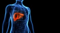KÜLTÜR MANTARı - 2020'Ye Sağlıklı Karaciğerle Girmenin 10 Altın Kuralı