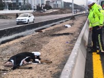 TEMİZLİK GÖREVLİSİ - Başkent'te korkunç kaza: 2 ölü!