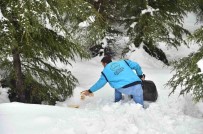 Dulkadiroğlu Belediyesi'nden Yaban Hayvanlarına Ekmek
