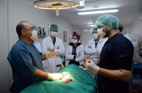 HAYVAN BARINAĞI - Geleceğin Veterinerler Hekimleri Osmangazi'de Yetişiyor