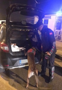 Ordu'da Jandarma 221 Aranan Şahsı Yakaladı