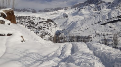Şırnak'ta Kar Kalınlığı 2 Metreye Ulaştı, Köy Yolları Ulaşıma Kapandı
