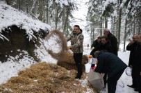 ALABALIK - Tarım Ve Orman Bakanı Pakdemirli Yaban Hayvanlarına Yem Bıraktı