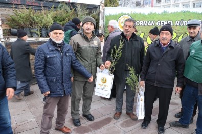 Yozgat'ta 2 Bin 20 Adet Çam Fidanı Dağıtıldı