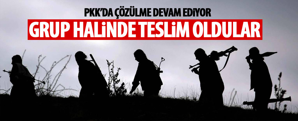 5 terörist teslim oldu