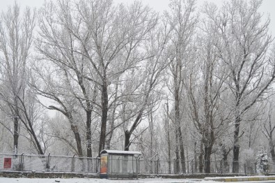 Ağrı'da Kar Yağışının Ardından Soğuk Hava Etkili Oluyor